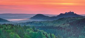 Wald des Wachsens - Der Thüringer Wald