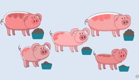 Clevere Schweinefütterung: Individuell & ökologisch