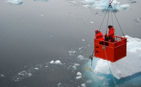 Klimawandel gefährdet Basis der polaren Nahrungsnetze