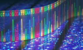 Artbestimmung: DNA-Barcoding für alle