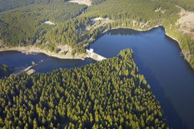 Wie Waldverlust die Trinkwasserqualität bedroht