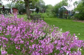Viel Potenzial für das Conservation Gardening