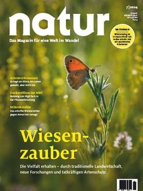 Wiesenzauber
