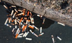 Warum Zigarettenstummel der Umwelt doppelt schaden