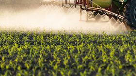 Wie Pestizide die biologische Vielfalt gefährden