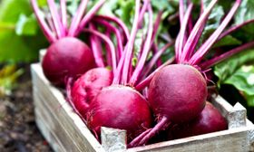 Rote Bete: Tipps für den Anbau und fünf Rezepte