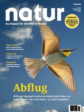 Abflug