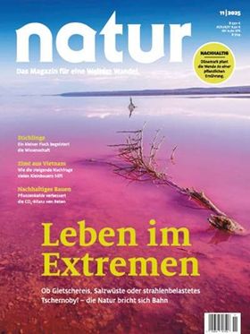 Leben im Extremen
