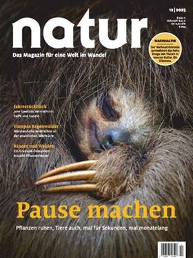 Pause machen