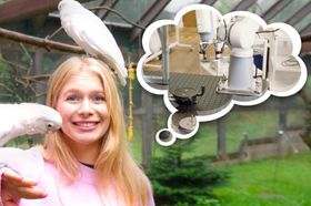 Gefiederte Werkzeugmacher