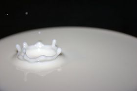 Fettarme Milch, frisch aus der Kuh