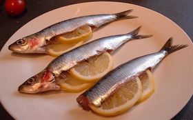 Vitamin D macht das Immunsystem scharf