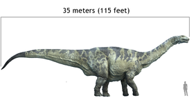 Antarktische Dino-Fossilien