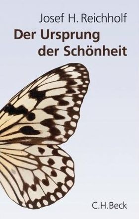 SCHÖNHEIT IST NÜTZLICH