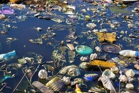 Bisphenol A wirkt generationsübergreifend