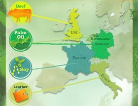 EU-Konsumhunger frisst Wald