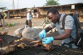 Mehr Lust auf Bushmeat