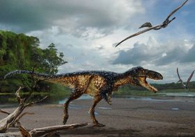 Wie die Tyrannosaurier zu Königen wurden