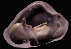 Virtual-Reality-Blick auf Ungeborene