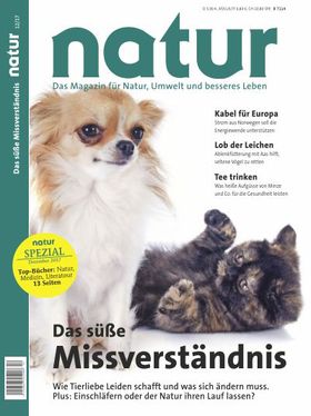 Das süße Missverständnis