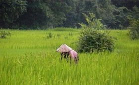 Aufruf zur ganzheitlichen Wertschätzung der Natur