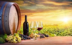 Klimawandel verändert den Wein