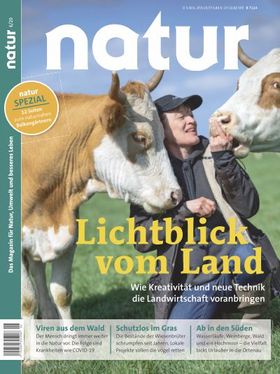 Lichtblick vom Land