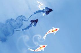 Schwarm-Forschung mit Fisch-Robotern