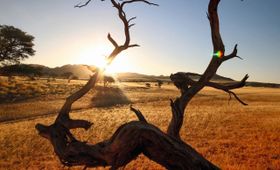 Abend in Afrika