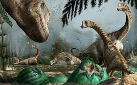 Neues zum deutschen „Schrumpf-Dino“