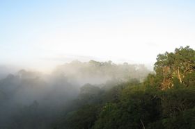 Amazonas: Schutz der Täler besonders wichtig