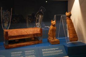 Rund 13.000 Jahre alt: Die enge Bindung zwischen Katze und Mensch