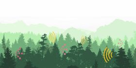 Von lautem Wald, lauschendem Mais und rufenden Tomaten