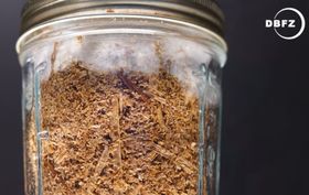 Können Speisepilze Biogas liefern?
