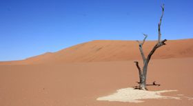 Globaler Wasserbericht: Die Extreme häufen sich