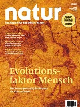 Evolutionsfaktor Mensch