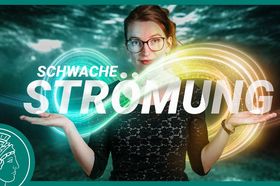Teure Schwächung