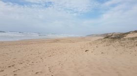Auch Mikroben am Strand bauen Stickstoff aus dem Meer ab
