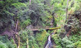 Abenteuer Wutachschlucht