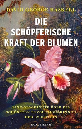 (R)Evolution der Blütenpflanzen