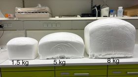 Ein biobasierter Schaumstoff für Polstermöbel