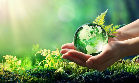 UN-Biodiversitätsgipfel: Wie steht es um den Schutz der Artenvielfalt?
