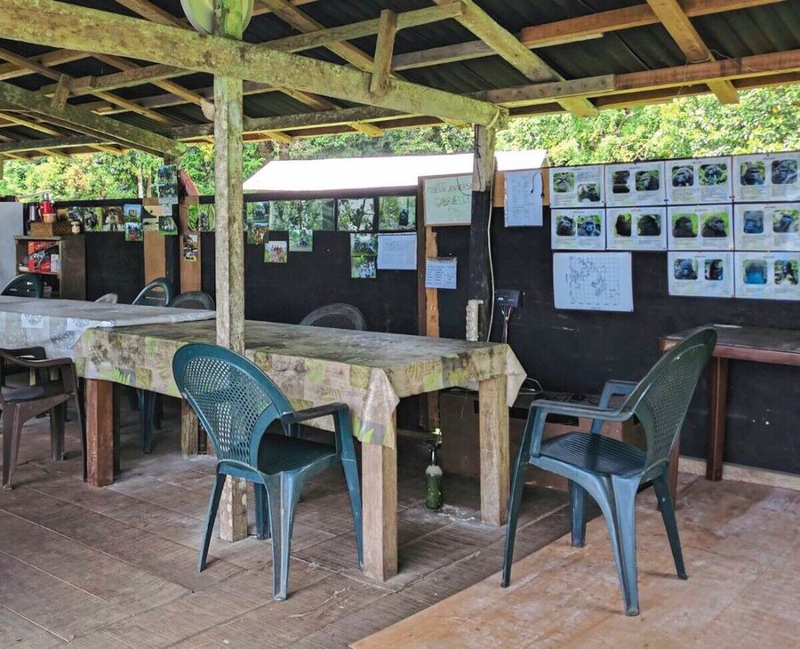 05_HR_Loango_Gorilla_Project_-_camp_dining_area.jpg