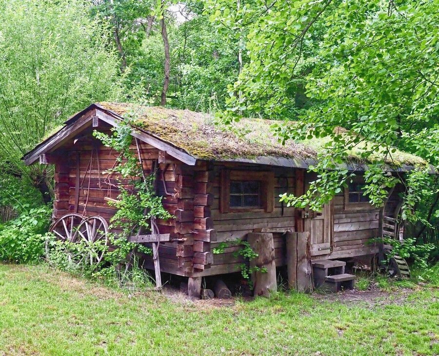 Natur als Nachbarin