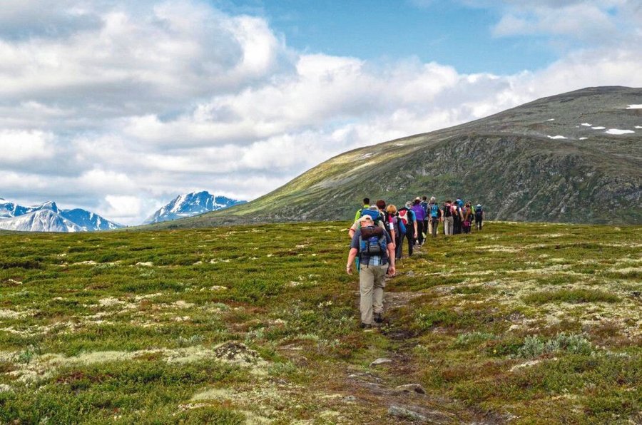 F7YBC0_Long_line_of_walkers_on_the_Muskox_safari_across_Dovrefjell_in_Norway's_Oppland_region