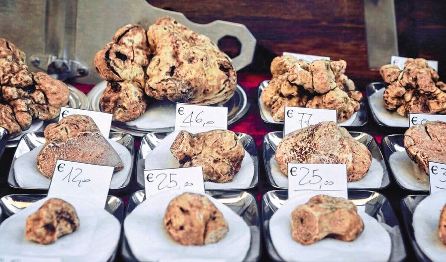 White_Truffles_(Tuber_Magnatum_Pico)_on_a_trader_stall_of_the_Fiera_del_Tartufo_(Truffle_Fair)_of_Alba,_Piedmont_(Italy)